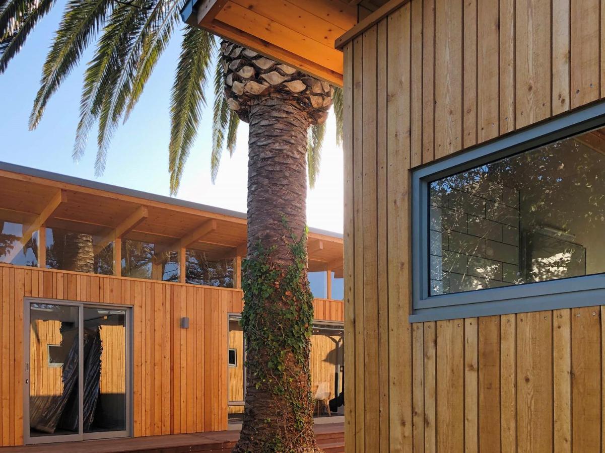 Palm And Pine *